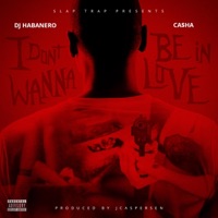 I Dont Wanna Be In Love (feat. Ca$ha) - Single - Dj Habanero