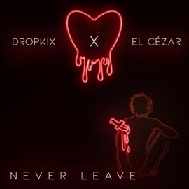 Never Leave (feat. El Cézar) Brandon Dropkix