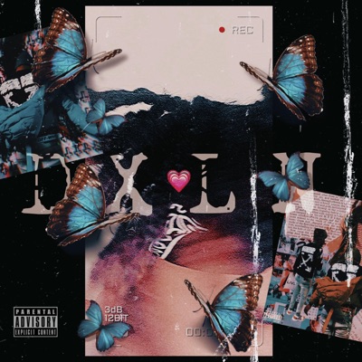 Dxln - Single
