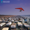 A Momentary Lapse of Reason (2019 Remix) - Pink Floyd