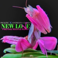 New Love (Preying Mantis Remix) [Preying Mantis Remix] - Single - Prolific & Andriana Chobot