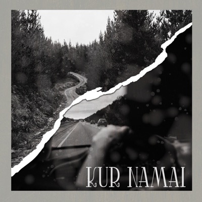 Kur Namai - Single