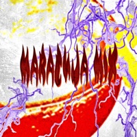 Maracuja Mix - Single - PR!NT