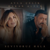 Seviyoruz Hâlâ artwork