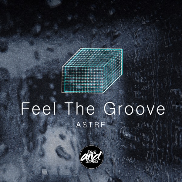 Feel the Groove - Single