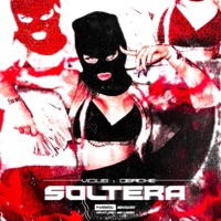Soltera (feat. Ceache) - Single - Vicius