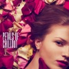 Petals of Chillout