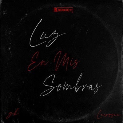 Luz En Mis Sombras (feat. Leirosee) - Single