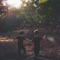 Northstar - Dave Hause lyrics