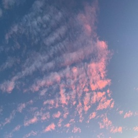 Pastense Angry Apple