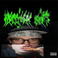 Wennigser Idiots - Single - Petjadreamboy