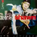 Little Shawn