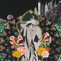 Allie Paige - In Your Midst