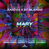 Mary Remix (feat. DT.Bilardo, Zurdo & Luchiboy) artwork