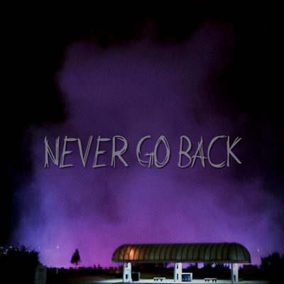 Never Go Back (feat. Tom the Intern) - Single
