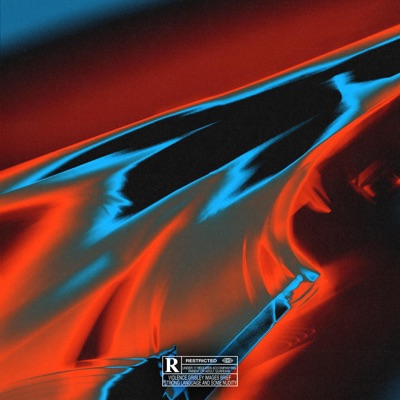 Nepasitikiu - Single