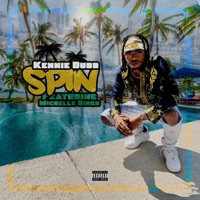 SPIN (feat. Michelle Singz) - Single - Kennie Dubb