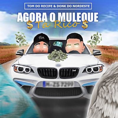 Agora o Muleque Tá Rico - Single