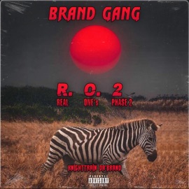 Stamp on it (feat. Lane boy, Yl dallas & C. B. HICEST) Knighttrain da'brand