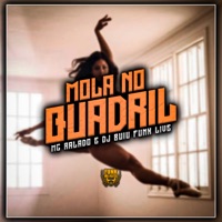 Mola no Quadril - Single - MC Ralado & DJ Buiu Funk Live