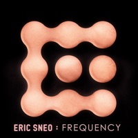 Frequency (2021 Remastered) - Single - Eric Sneo