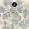 Avoid (Maxi Mill Remix) - Jonathan Kaspar lyrics