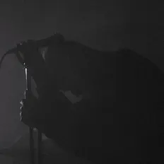 PALESKIN सुनें, म्यूज़िक वीडियो देखें, बायो पढ़ें, दौरे की तारीखें और बहुत कुछ देखें!