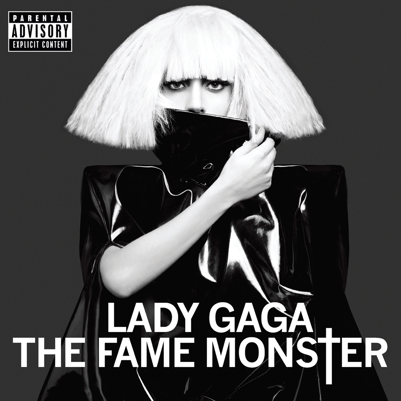 The Fame Monster by Lady Gaga