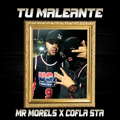 Tu Maleante (feat. COFLA STA) - Single