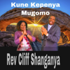 Kune Kupenya Mugomo - REV C Shanganya