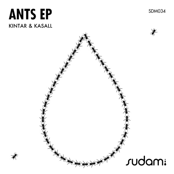 Ants - Single