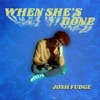 Josh Fudge - When She's Gone