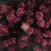 Kupla - Rose Garden