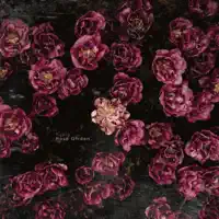Rose Garden