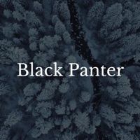 Black Panther - Single - Woody Kief