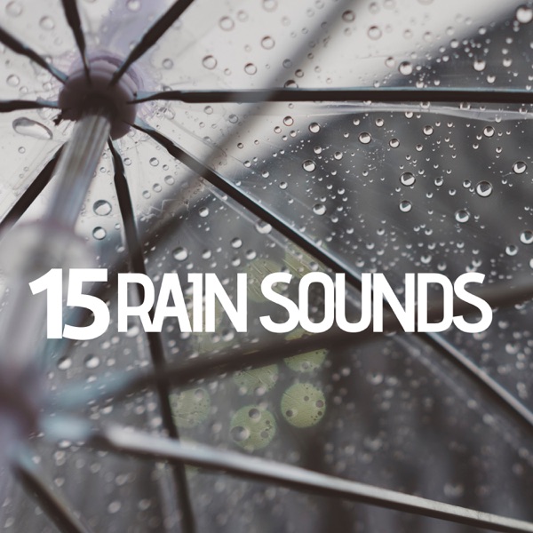 15 Rain Sounds