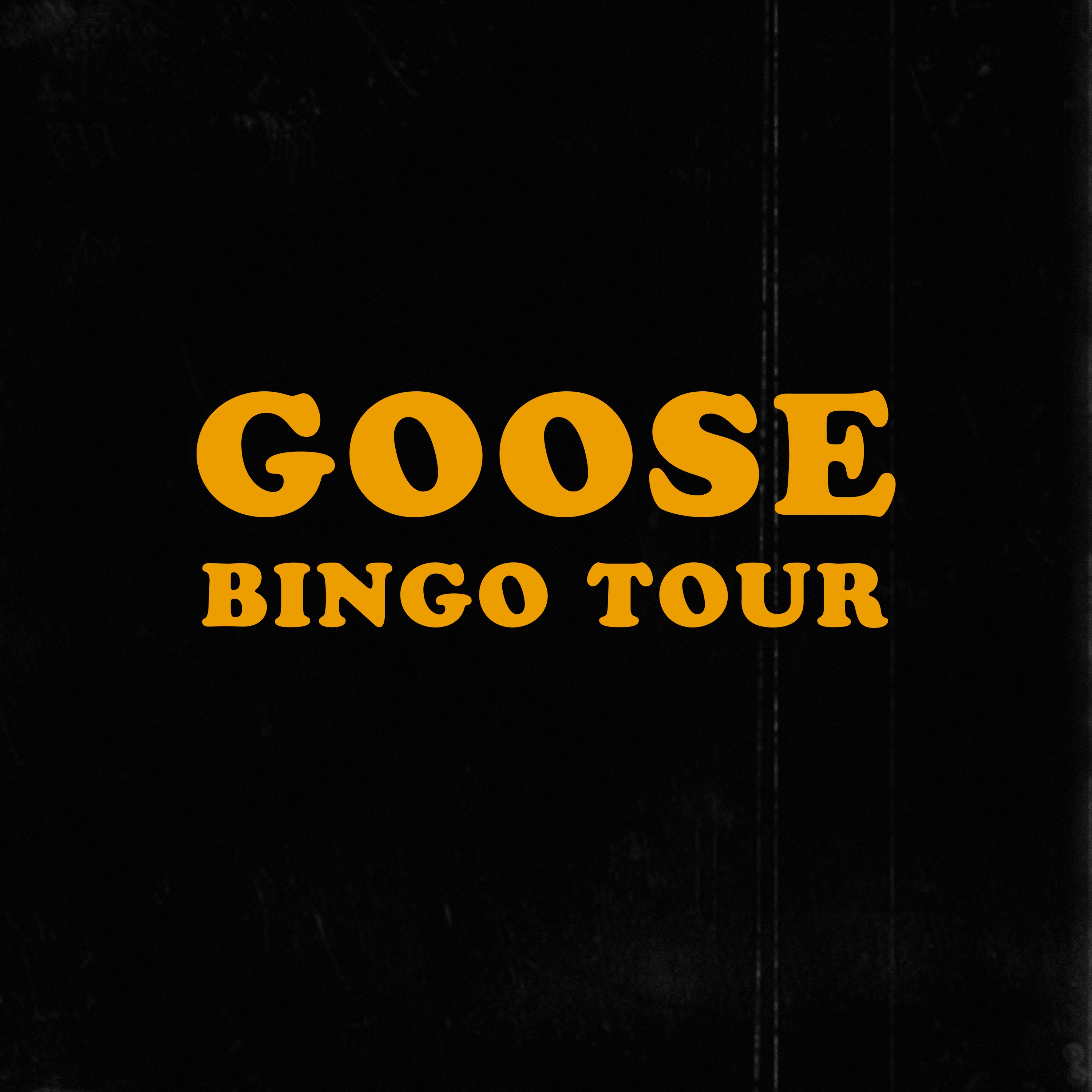 Bingo Tour