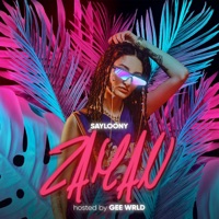 Zaman (feat. GEE WRLD) - Single - Sayloony