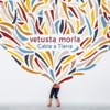 Vetusta Morla - Puñalada Trapera