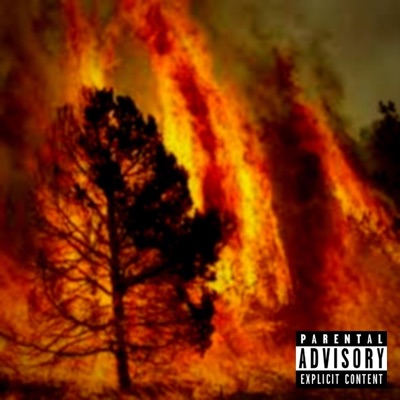 Fever (feat. Jerez) - Single