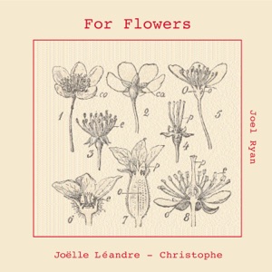 For Flowers (feat. Mat Maneri, Christophe Marguet & Joel Ryan)