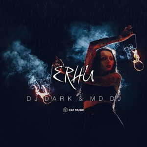 Erhu - Single