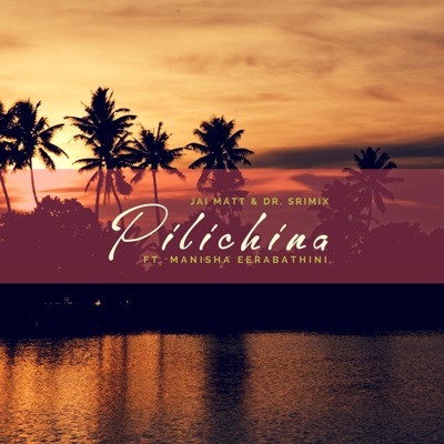 Pilichina (feat. Dr. Srimix & Manisha Eerabathini) - Single