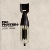 Echoes, Silence, Patience & Grace - Foo Fighters