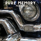 Pure Memory artwork