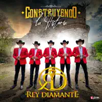 Laura No Esta — Rey Diamante