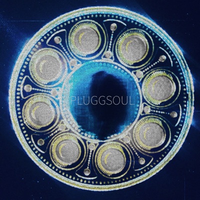 pluggsoul