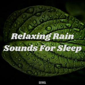 Relaxing Rain Sounds for Sleep