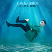 Cinta Tak Bertepi artwork