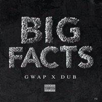 BIG FACTS (feat. Dub) - Single - Yung Gwap